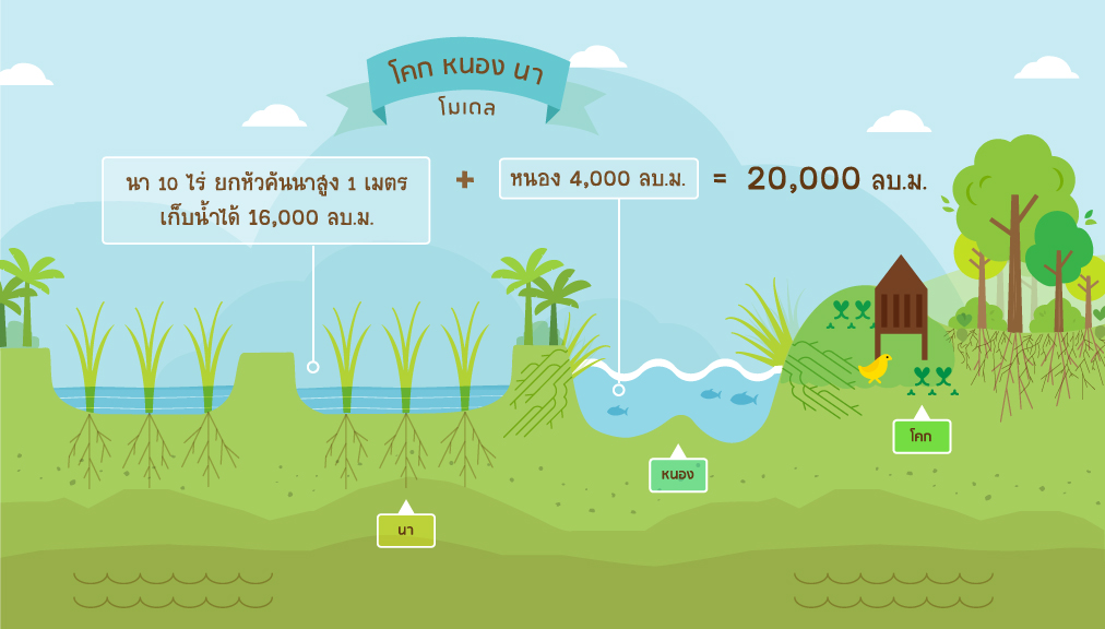 ทำความรู้จัก เกษตรทฤษฎีใหม่ ศาสตร์พระราชาสู่ “โคก หนอง นา โมเดล”