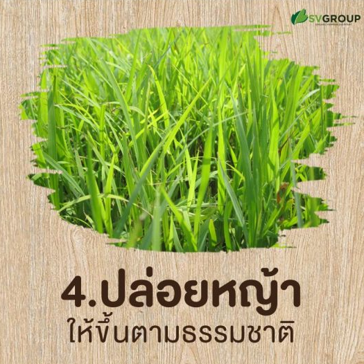 9 ขั้นตอนเปลี่ยนแปลงปลูกให้เป็น "เกษตรอินทรีย์"