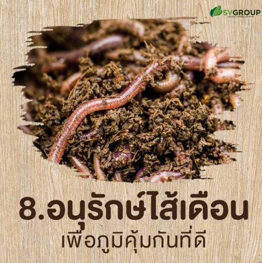 9 ขั้นตอนเปลี่ยนแปลงปลูกให้เป็น "เกษตรอินทรีย์"