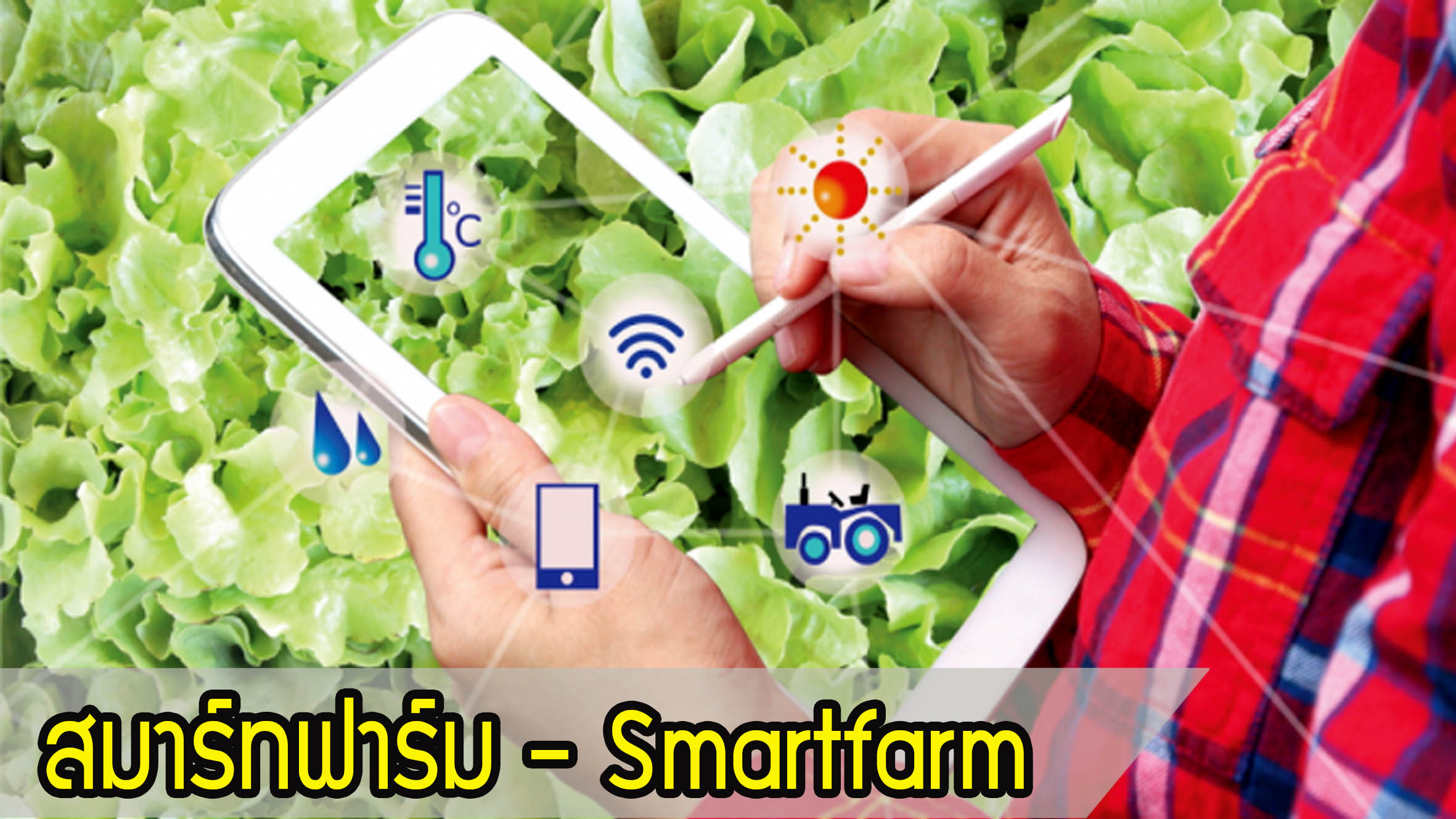 สมาร์ทฟาร์ม - Smartfarm คืออะไร