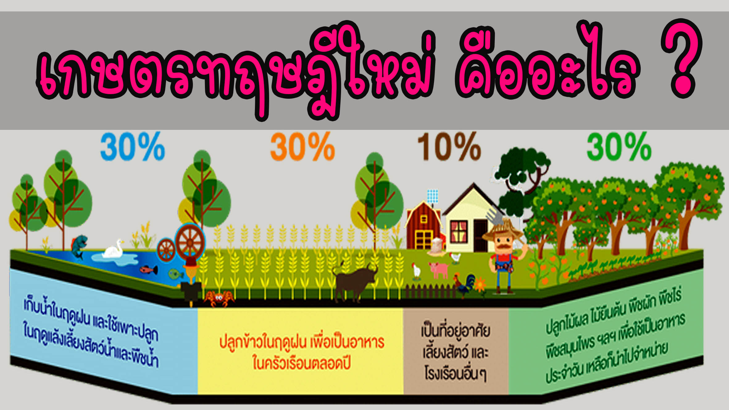 เกษตรทฤษฎีใหม่ คืออะไร ?