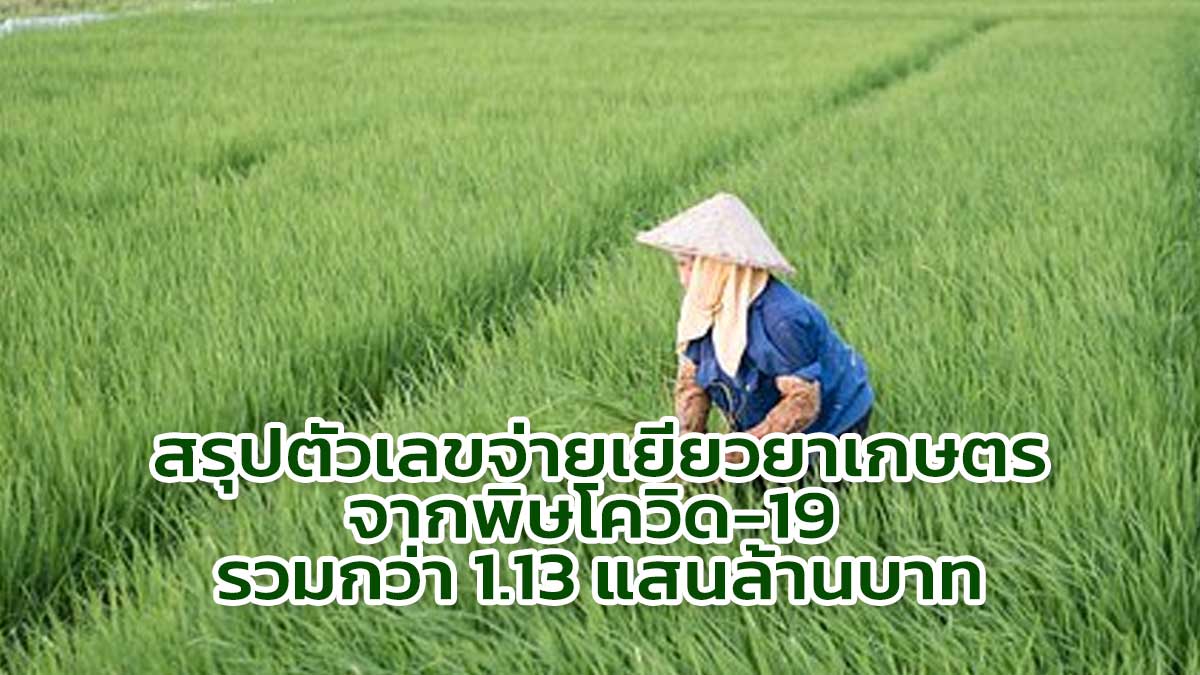 กระทรวงเกษตรฯ สรุปตัวเลขจ่ายเยียวยาเกษตร จากพิษโควิด-19 รวมกว่า 1.13 แสนล้านบาท