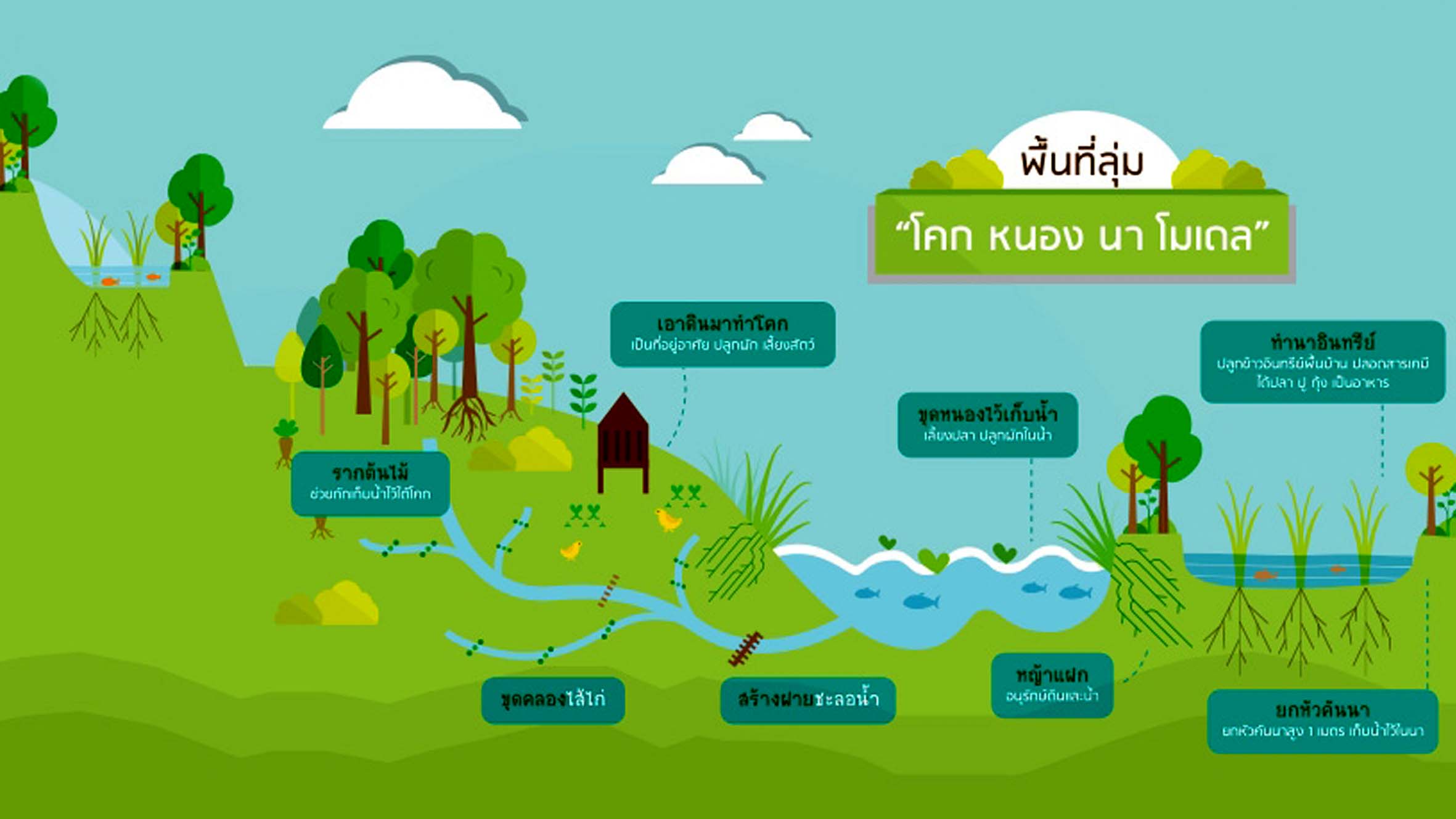 แอพพลิเคชั่น ใช้วางแผนพัฒนา โคก หนอง นา