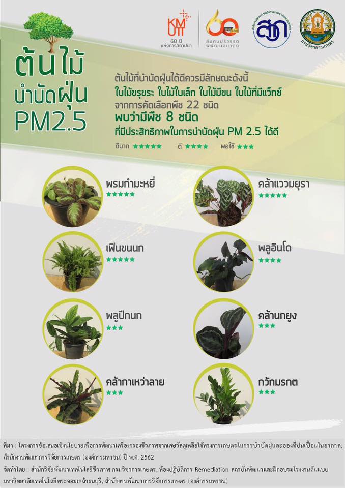 " พันธุ์ไม้ไล่อากาศพิษบำบัดฝุ่น PM 2.5 "  ลองหากันมาปลูก เพื่อทำให้อากาศรอบๆตัวสะอาดปลอดภัยเหมาะสำหรับการสูดลมหายใจให้เต็มปอด 