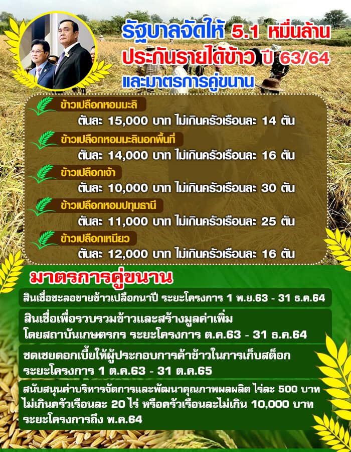 รัฐบาลจัดให้ 5.1 หมื่นล้าน ประกันรายได้ข้าว ปี 2563/2564 และมาตรการคู่ขนาน