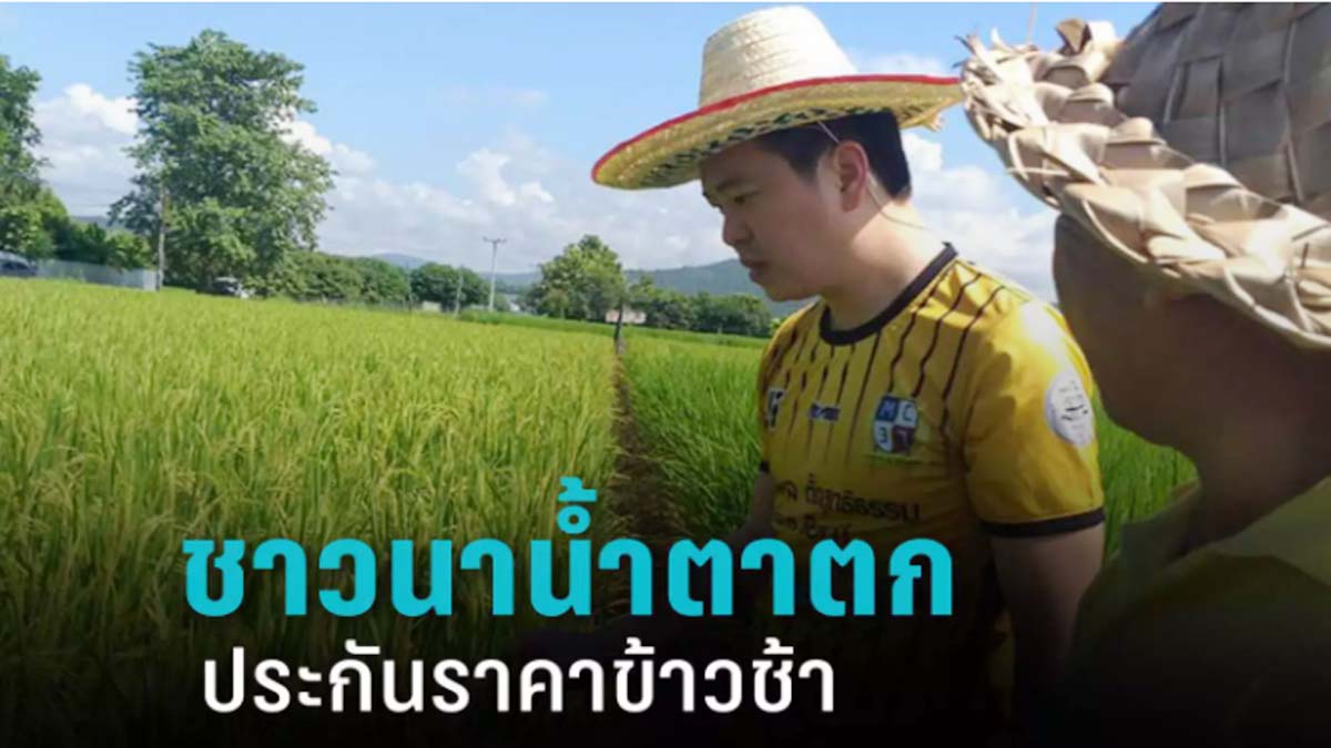 “จักรพล” รองเลขาธิการพรรคเพื่อไทย ซัด รัฐบาล ประกันราคาข้าวช้า ทำชาวนาน้ำตาตก