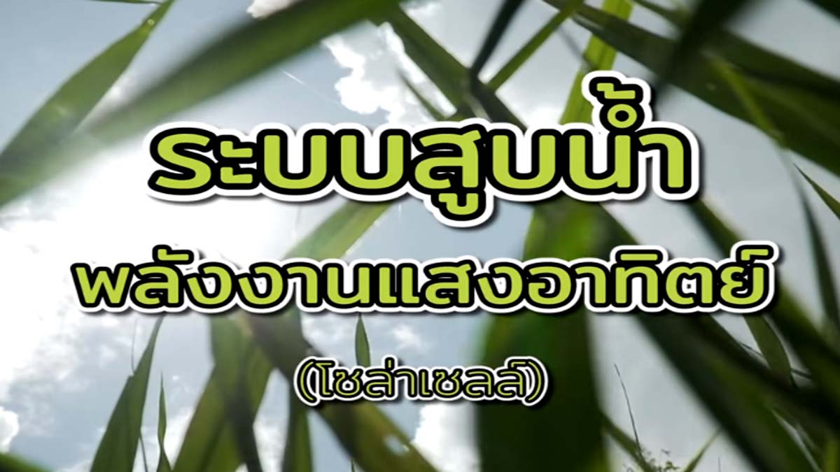 ระบบสูบน้ำพลังงานแสงอาทิตย์ (โซล่าเซลล์) งบหลักหมื่น เหมาะกับพื้นที่เกษตรขนาดเล็กที่ห่างไกลเขตไฟฟ้า ส่งน้ำครอบคลุมพื้นที่ 3-5 ไร่