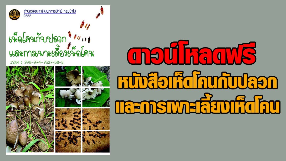 ดาวน์โหลดฟรี !! หนังสือเห็ดโคนกับปลวกและการเพาะเลี้ยงเห็ดโคน