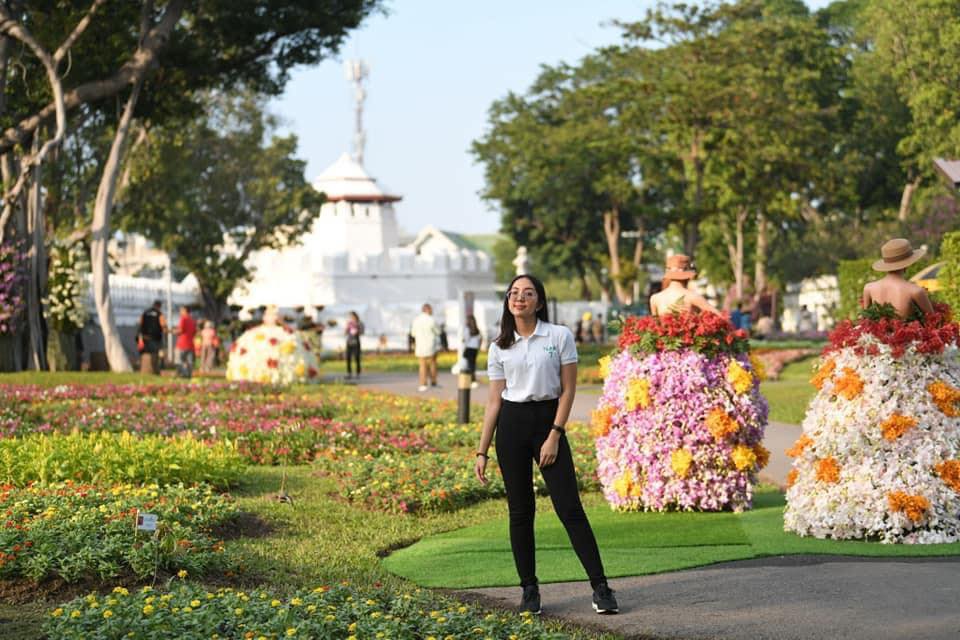 เข้าชมฟรี !! สวนดอกไม้ ถ่ายรูปสุดปังกับทุ่งดอกไม้ ในสวนป้อมมหากาฬ เขตพระนคร ตั้งแต่วันนี้ถึง ต้นเดือนมกราคม