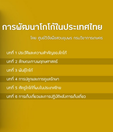 ดาวน์โหลดฟรี !! เอกสาร "การพัฒนาโกโก้ในประเทศไทย" ถ้าอยากปลูกโกโก้ต้องศึกษาก่อน