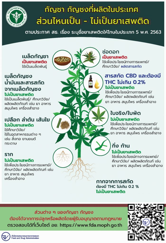 ส่วนไหนของกัญชา กัญชง ไม่เป็นยาเสพติด ตามประกาศกระทรวงสาธารณสุข