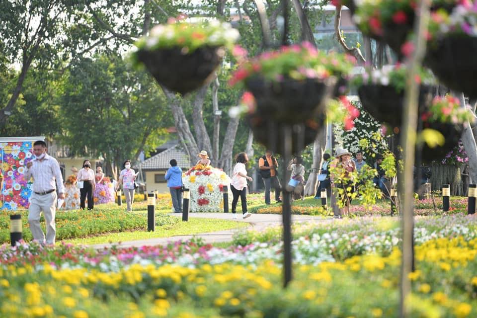 เข้าชมฟรี !! สวนดอกไม้ ถ่ายรูปสุดปังกับทุ่งดอกไม้ ในสวนป้อมมหากาฬ เขตพระนคร ตั้งแต่วันนี้ถึง ต้นเดือนมกราคม