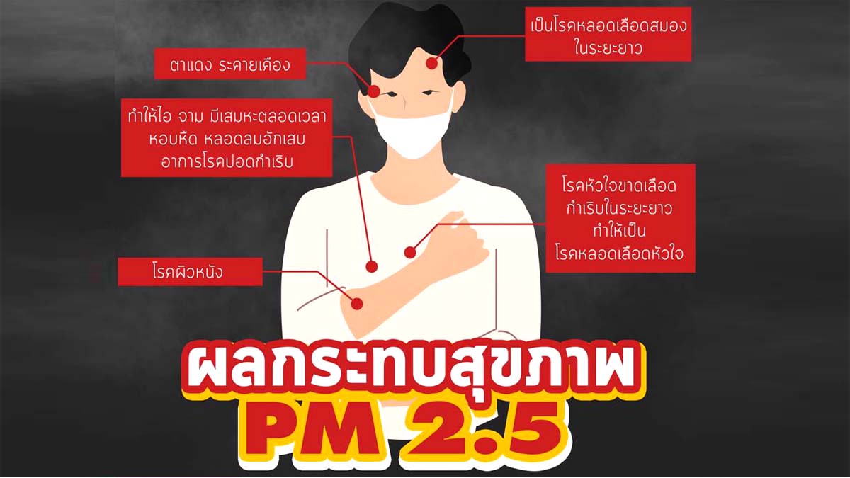 ผลกระทบหากสูดดมฝุ่น PM2.5 ฝุ่นพิษที่มองไม่เห็น เราหายใจเข้าโดยไม่รู้ตัว