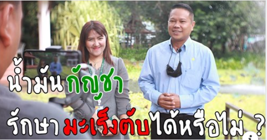 "น้ำมันกัญชา" รักษาโรคมะเร็งตับได้หรือไม่ ถ้าอยากรู้คลิกดูเลย !!