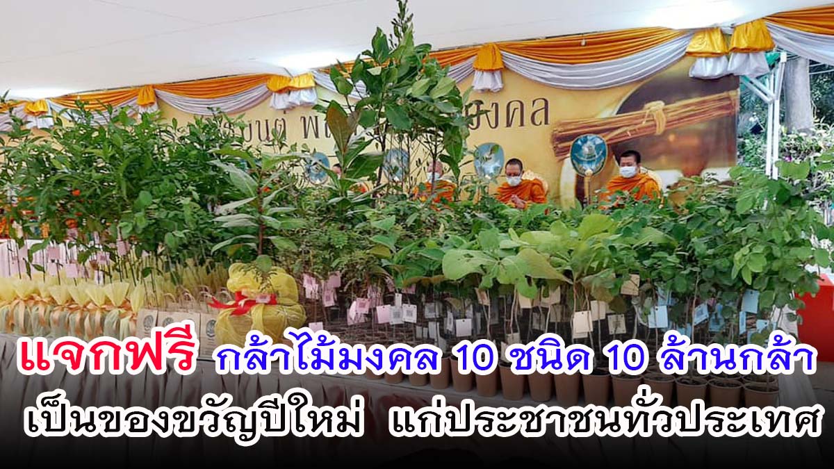 แจกฟรี !! กล้าไม้มงคล 10 ชนิด 10 ล้านกล้า เป็นของขวัญปีใหม่แก่ประชาชนทั่วประเทศเพื่อเป็นสิริมงคลปี 2564 เพิ่มพื้นที่สีเขียวทั่วประเทศ