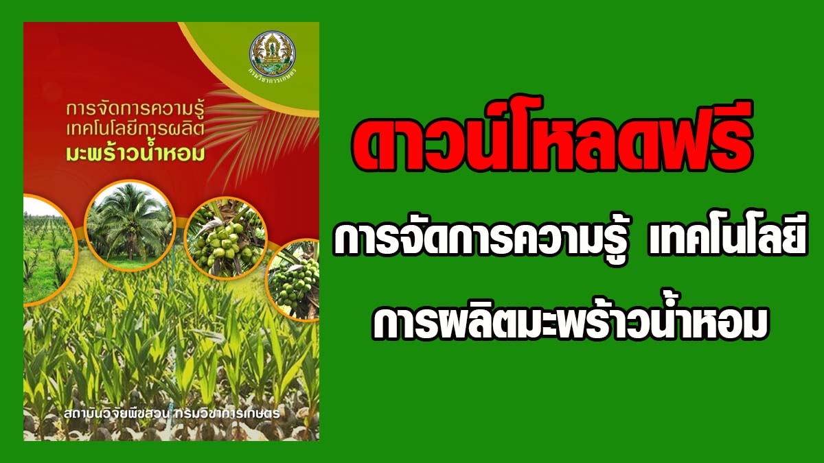 ดาวน์โหลดฟรี !! คู่มือ การจัดการความรู้ เทคโนโลยีการผลิตมะพร้าวน้ำหอม อยากปลูกมะพร้าวน้ำหอมต้องทำอย่างไรบ้างคลิกดูเลย