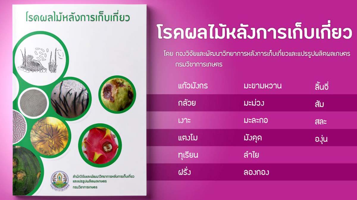 ดาวน์โหลดฟรี !! คู่มือเอกสาร โรคผลไม้หลังการเก็บเกี่ยว