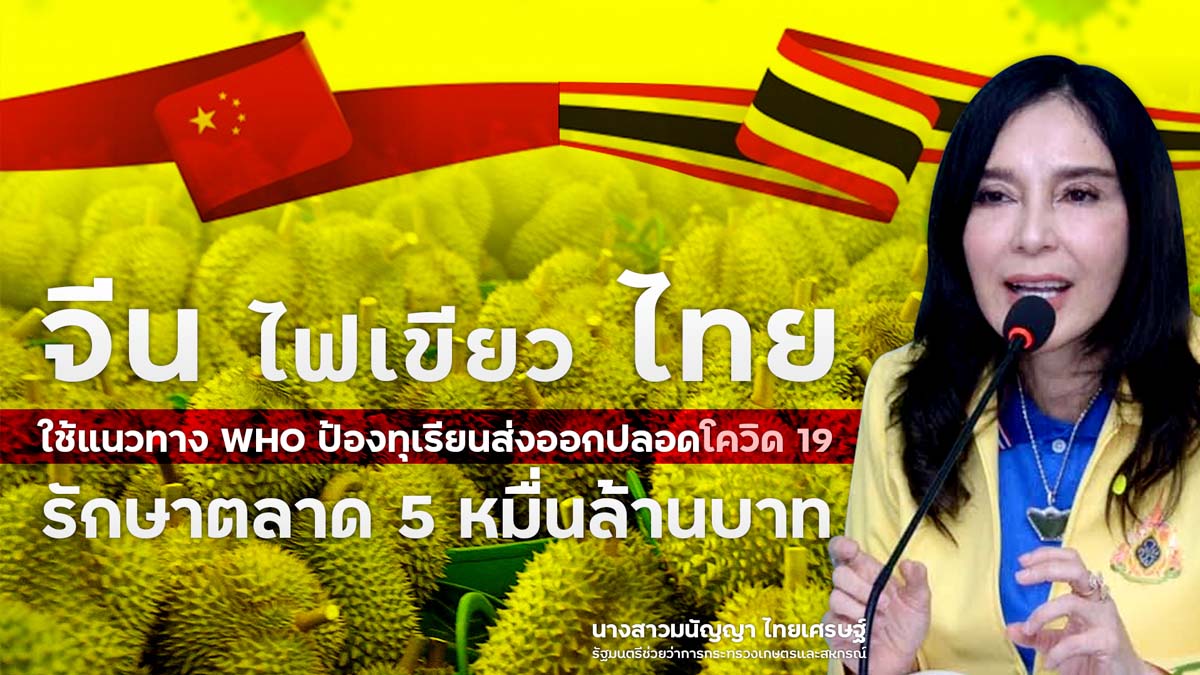 ประเทศจีนไฟเขียวให้ประเทศไทย ใช้แนวทางองค์การอนามัยโลก WHO ป้องทุเรียนส่งออกปลอดโควิด 19 รักษาตลาด 5 หมื่นล้านบาท