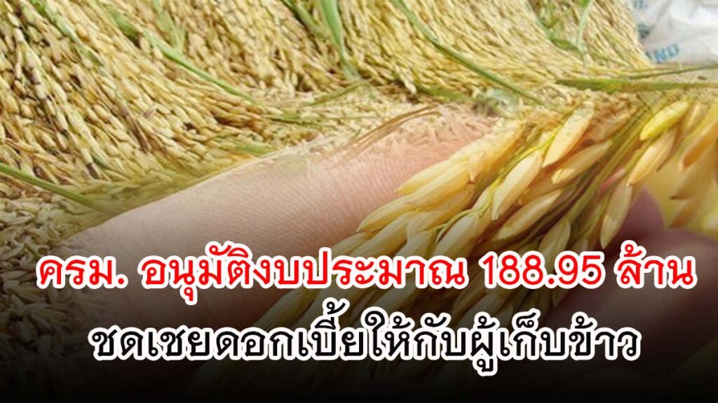 ครม. อนุมัติงบประมาณ 188.95 ล้านบาท เพื่อชดเชยดอกเบี้ยให้กับผู้ประกอบการค้าข้าว