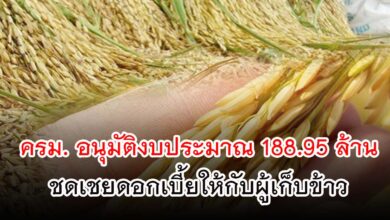 ครม. อนุมัติงบประมาณ 188.95 ล้านบาท เพื่อชดเชยดอกเบี้ยให้กับผู้ประกอบการค้าข้าว