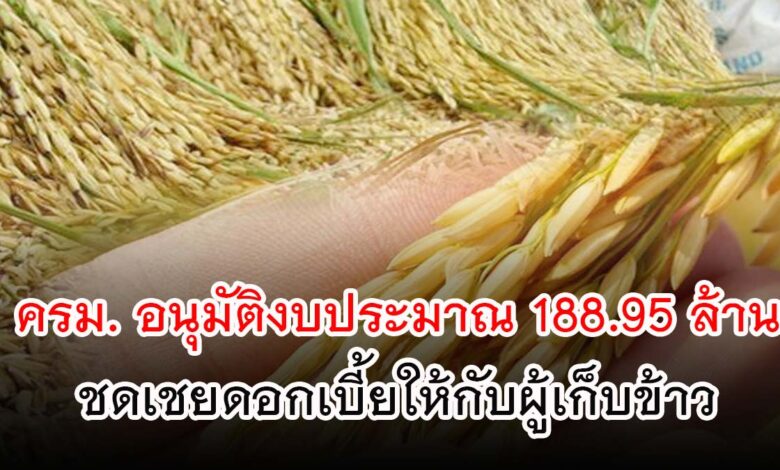 ครม. อนุมัติงบประมาณ 188.95 ล้านบาท เพื่อชดเชยดอกเบี้ยให้กับผู้ประกอบการค้าข้าว