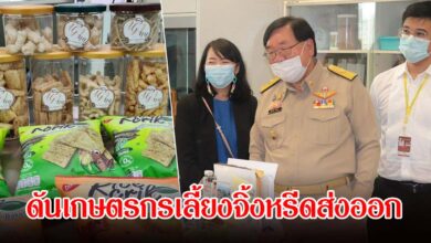 กระทรวงเกษตรฯ ดันเกษตรกรเลี้ยงจิ้งหรีดส่งออก สร้างรายได้สู้ภัยแล้ง นำร่องสุพรรณบุรีเป็นแห่งแรก