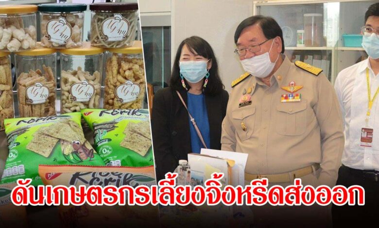 กระทรวงเกษตรฯ ดันเกษตรกรเลี้ยงจิ้งหรีดส่งออก สร้างรายได้สู้ภัยแล้ง นำร่องสุพรรณบุรีเป็นแห่งแรก