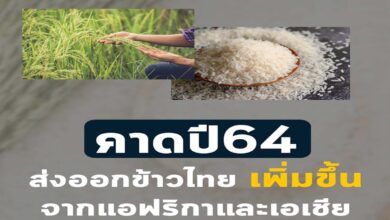 สมาคมผู้ส่งออกข้าวไทย คาดปี64 ส่งออกข้าวไทยเพิ่มขึ้น จากความต้องการแอฟริกาและเอเชีย