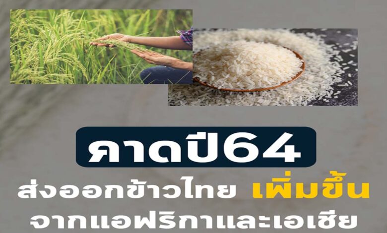 สมาคมผู้ส่งออกข้าวไทย คาดปี64 ส่งออกข้าวไทยเพิ่มขึ้น จากความต้องการแอฟริกาและเอเชีย