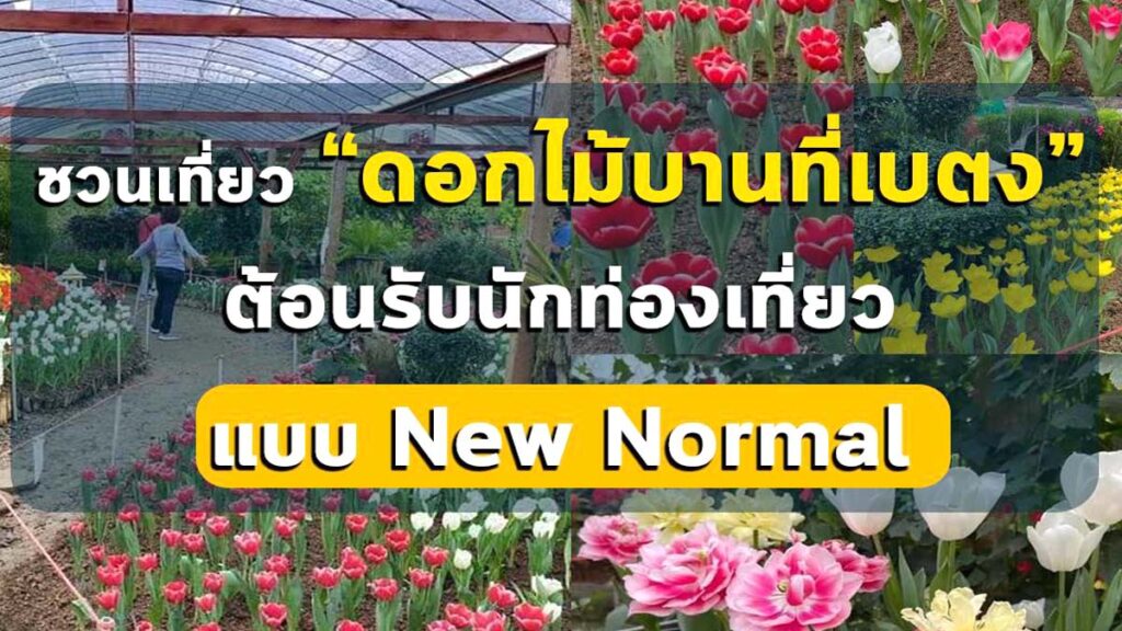 ชวนเที่ยวงาน “ดอกไม้บานที่เบตง” ต้อนรับนักท่องเที่ยว แบบ New Normal