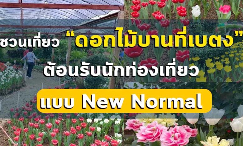 ชวนเที่ยวงาน “ดอกไม้บานที่เบตง” ต้อนรับนักท่องเที่ยว แบบ New Normal