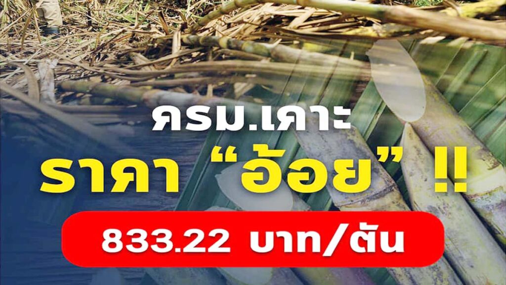 ครม. เห็นชอบกำหนดราคาอ้อย ตันละ 833.22 บาท/ตัน