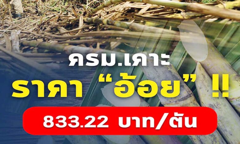 ครม. เห็นชอบกำหนดราคาอ้อย ตันละ 833.22 บาท/ตัน