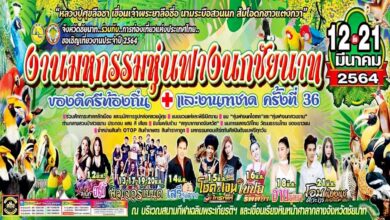 ขอเชิญ​เที่ยวงาน​ มหกรรม​หุ่นฟางนกชัยนาท ครั้งที่ 36 วันที่ 12 -​ 21 มีนาคม​ 2564