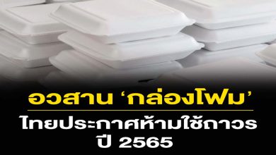 ครม. มีมติให้แบนพลาสติก 4 ชนิด 'ถุงหิ้ว-โฟม-แก้ว-หลอด' แบบเด็ดขาดในปี 2565