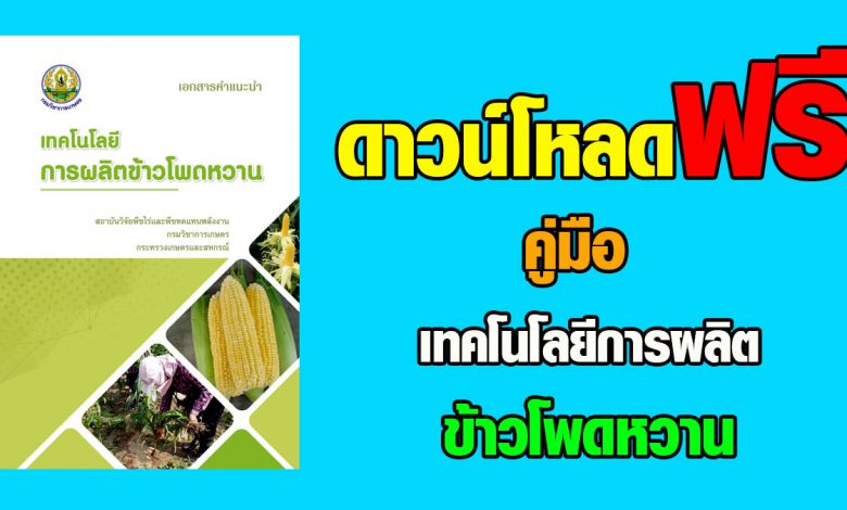 ดาวน์โหลดฟรี เอกสารคำแนะนำเทคโนโลยีการผลิตข้าวโพดหวาน