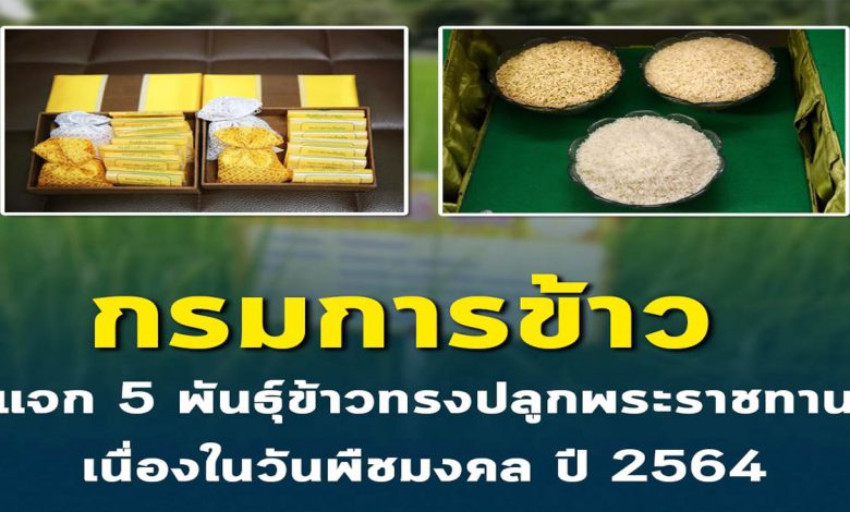 กรมการข้าว แจก 5 พันธุ์ข้าวทรงปลูกพระราชทาน เนื่องในวันพืชมงคล ปี 2564