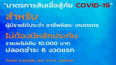 ครม. อนุมัติ 20,000 ล้าน เป็นสินเชื่อ สู้โควิด-19