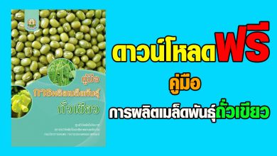 ดาวน์โหลดฟรี !! คู่มือการผลิตเมล็ดพันธุ์ถั่วเขียว