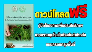 ดาวน์โหลดฟรี "คู่มือโครงการเพิ่มประสิทธิภาพการความคุมโรคใบด่างมันสำปะหลังแบบครอบคลุมพื้นที่"