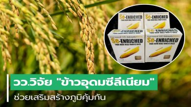 สถาบันวิจัยวิทยาศาสตร์และเทคโนโลยีแห่งประเทศไทย วิจัยพัฒนา “ข้าวอุดมซีลีเนียม” ช่วยเสริมสร้างภูมิคุ้มกันของร่างกาย