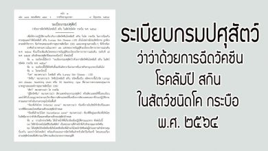 ระเบียบกรมปศุสัตว์ การฉีดวัคซีนโรคลัมปี สกิน ในสัตว์ชนิดโค กระบือ พ.ศ. ๒๕๖๔