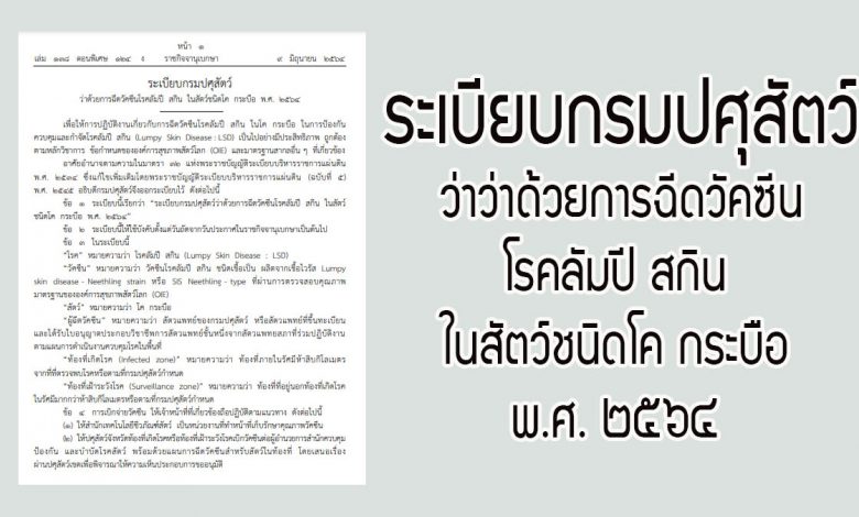 ระเบียบกรมปศุสัตว์ การฉีดวัคซีนโรคลัมปี สกิน ในสัตว์ชนิดโค กระบือ พ.ศ. ๒๕๖๔