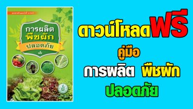 ดาวน์โหลดฟรี คู่มือ การผลิต พืชผัก ปลอดภัย