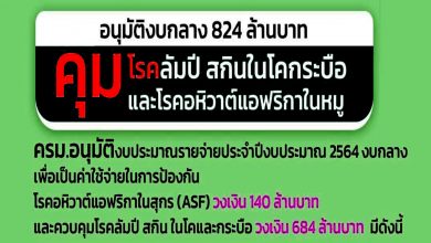 อนุมัติ 824 ล้านบาท คุมโรคลัมปี สกินในโคกระบือ และโรคอหิวาต์แอฟริกาในหมู