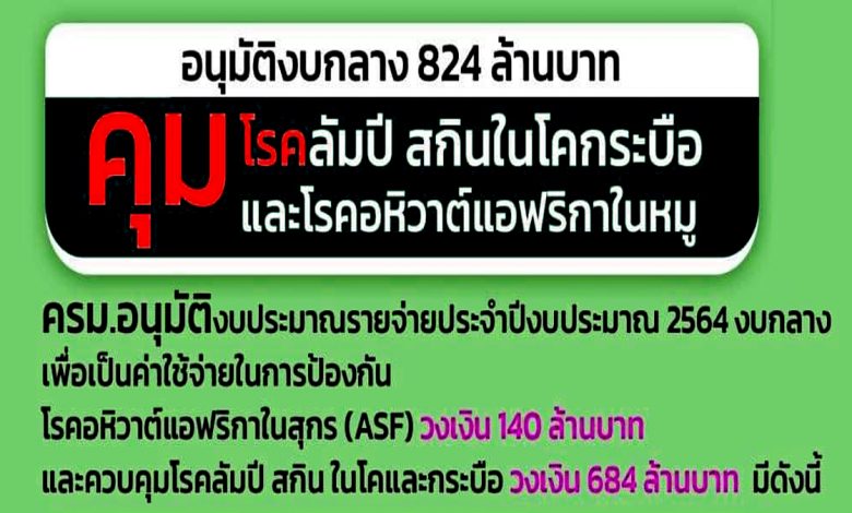 อนุมัติ 824 ล้านบาท คุมโรคลัมปี สกินในโคกระบือ และโรคอหิวาต์แอฟริกาในหมู