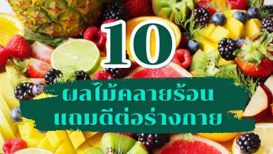 10 ผลไม้คลายร้อน