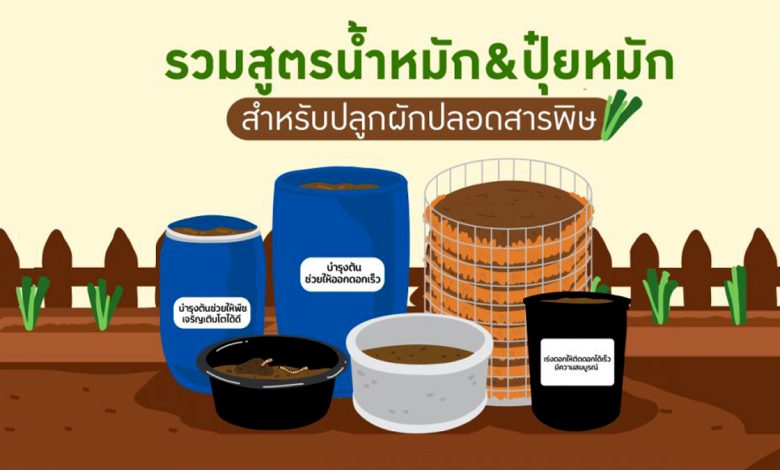 รวมสูตรน้ำหมักและปุ๋ยหมัก สำหรับปลูกผักปลอดสารพิษ