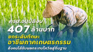 ครม. อนุมัติงบ 407 ล้านบาท ยกระดับทักษะอาชีพภาคเกษตรกรรม