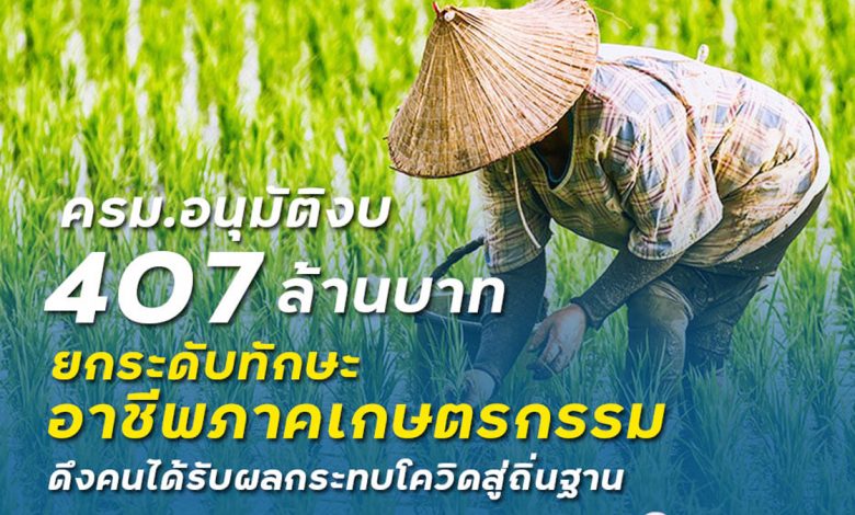 ครม. อนุมัติงบ 407 ล้านบาท ยกระดับทักษะอาชีพภาคเกษตรกรรม